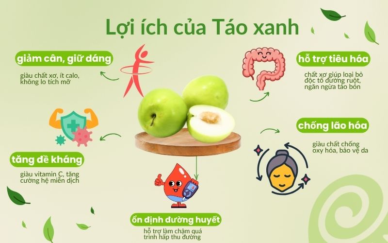 lợi ích của táo xanh việt nam trang trại ngon farm tuy phong 